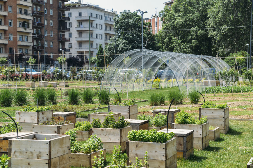 A series of walk-up apartment buildings sits behind a community garden