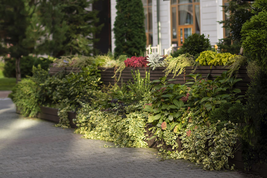 Trees and grass in the distance, greenery creating a living wall beside the street