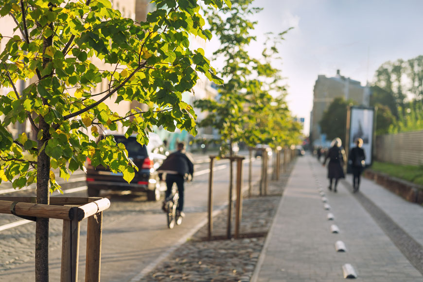 A cyclist and several pedestrians travel along a street lined with young trees